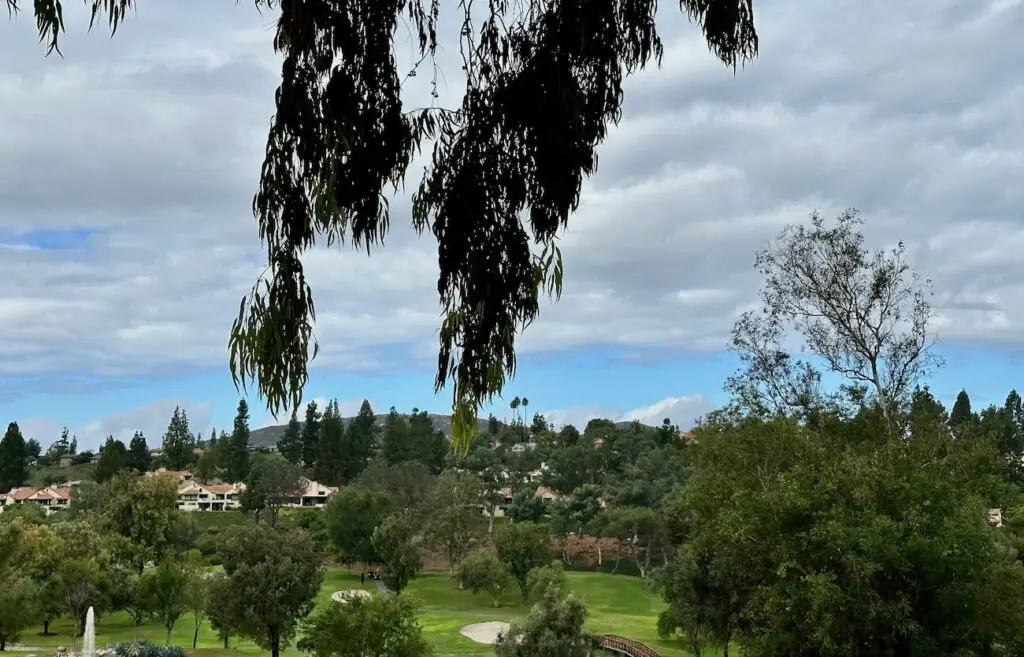 View from the dining area at Rancho Bernardo Inn Golf Course.