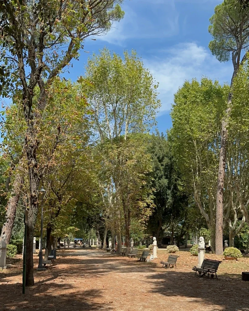 ⁨Beautiful trees in the Gardens of the Villa Borghese