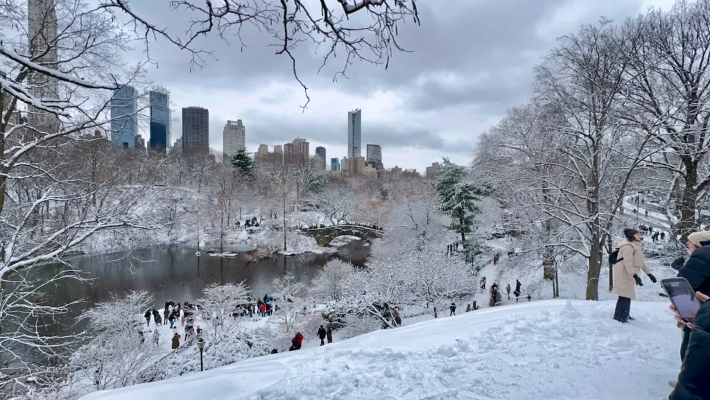 Snowy view of Central Park with the New York City skyline in winter