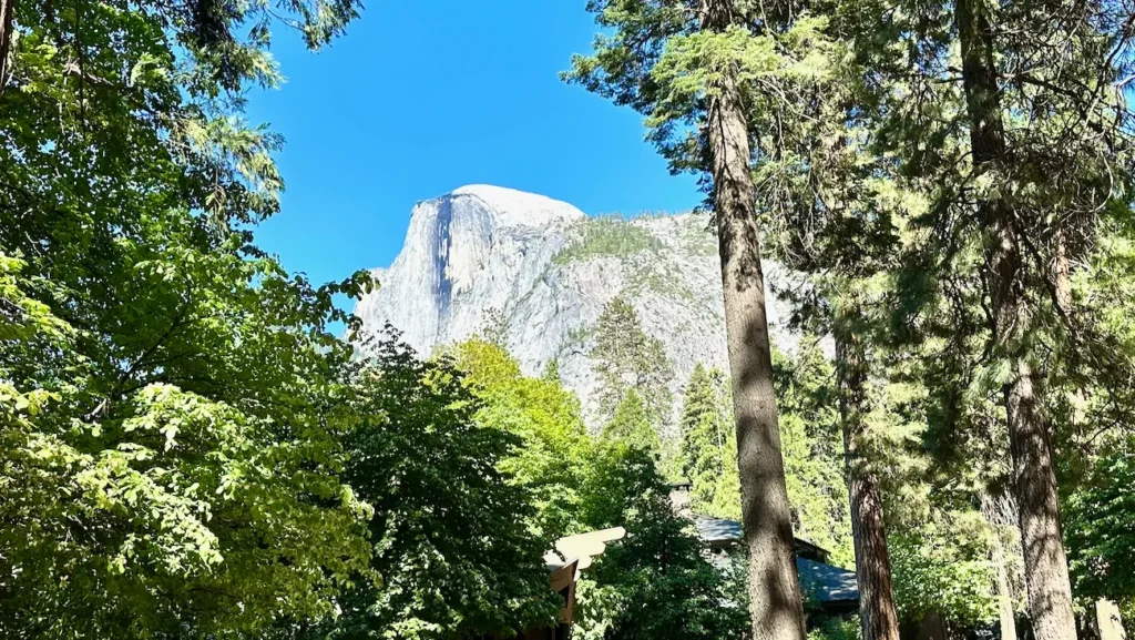 Half Dome rising above the trees in Yosemite National Park.