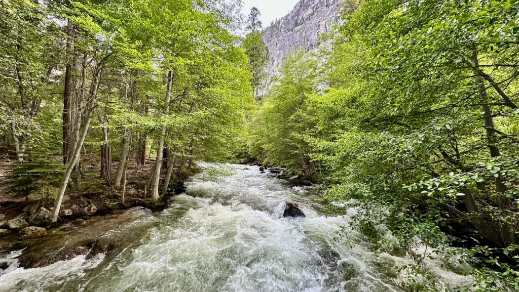 Rushing water in Tenaya Creek near Happy Isles in Yosemite National Park.