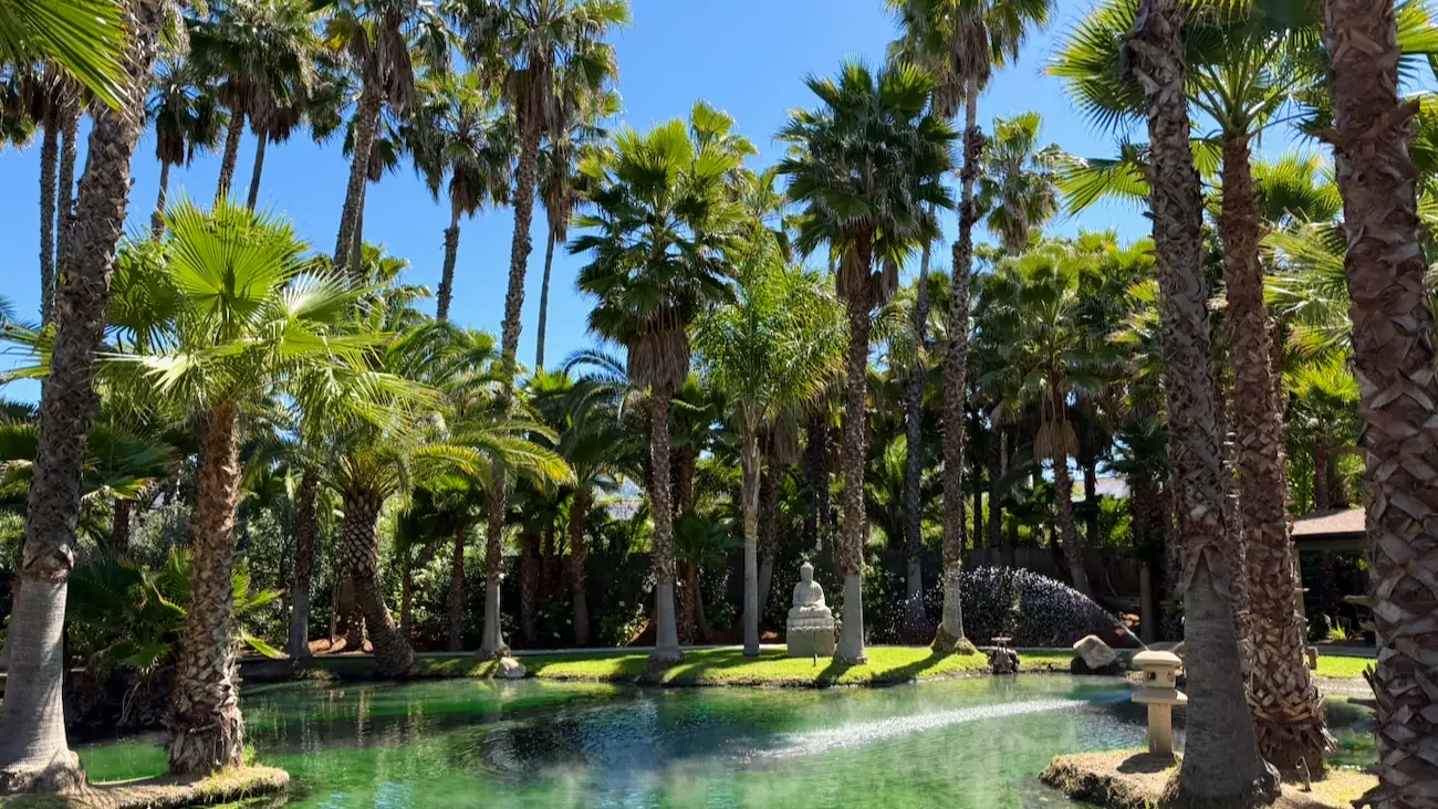 The Buddha Pond at the spa at Indian Springs Calistoga in Napa Valley.