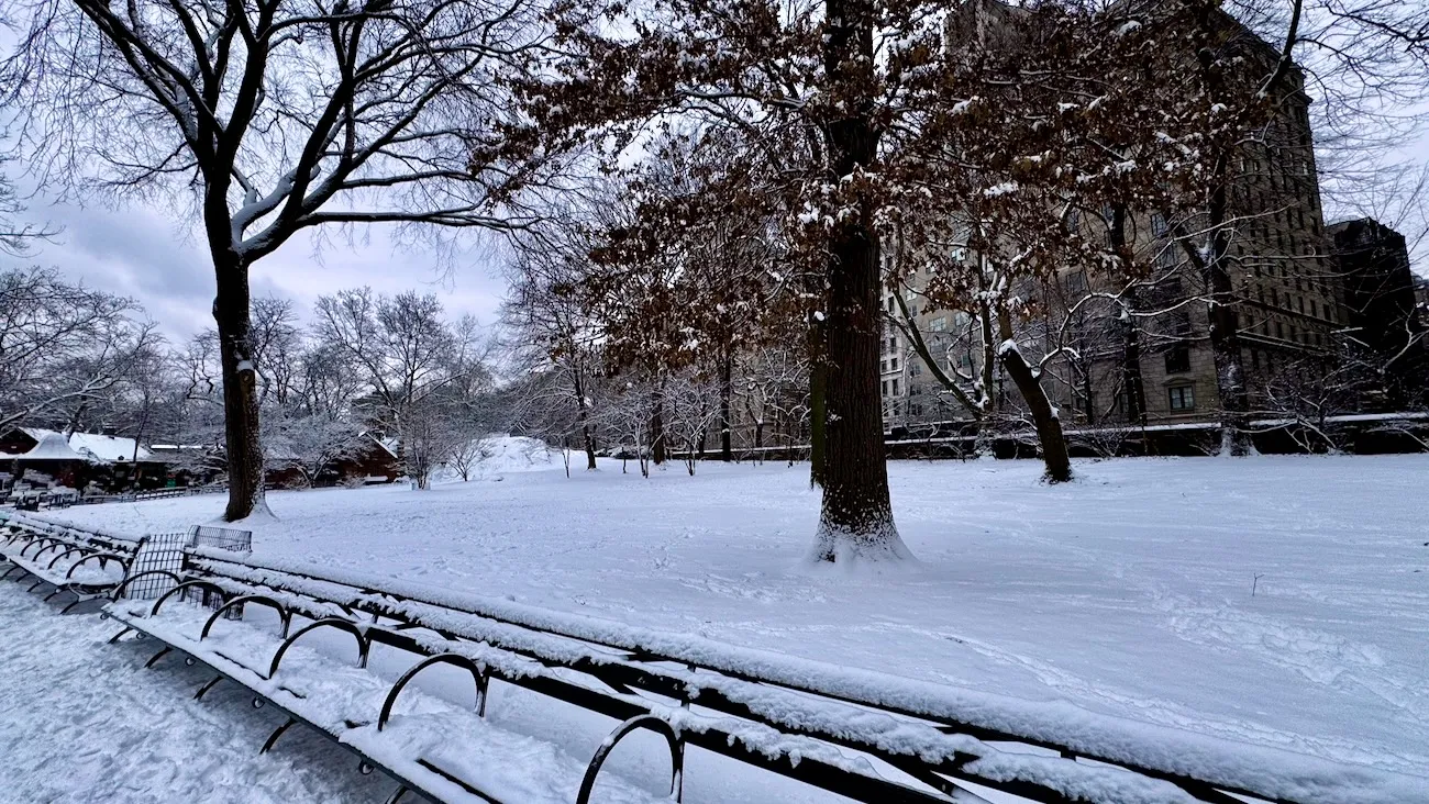 Snow-covered Central Park in New York City during the first snowfall in four years