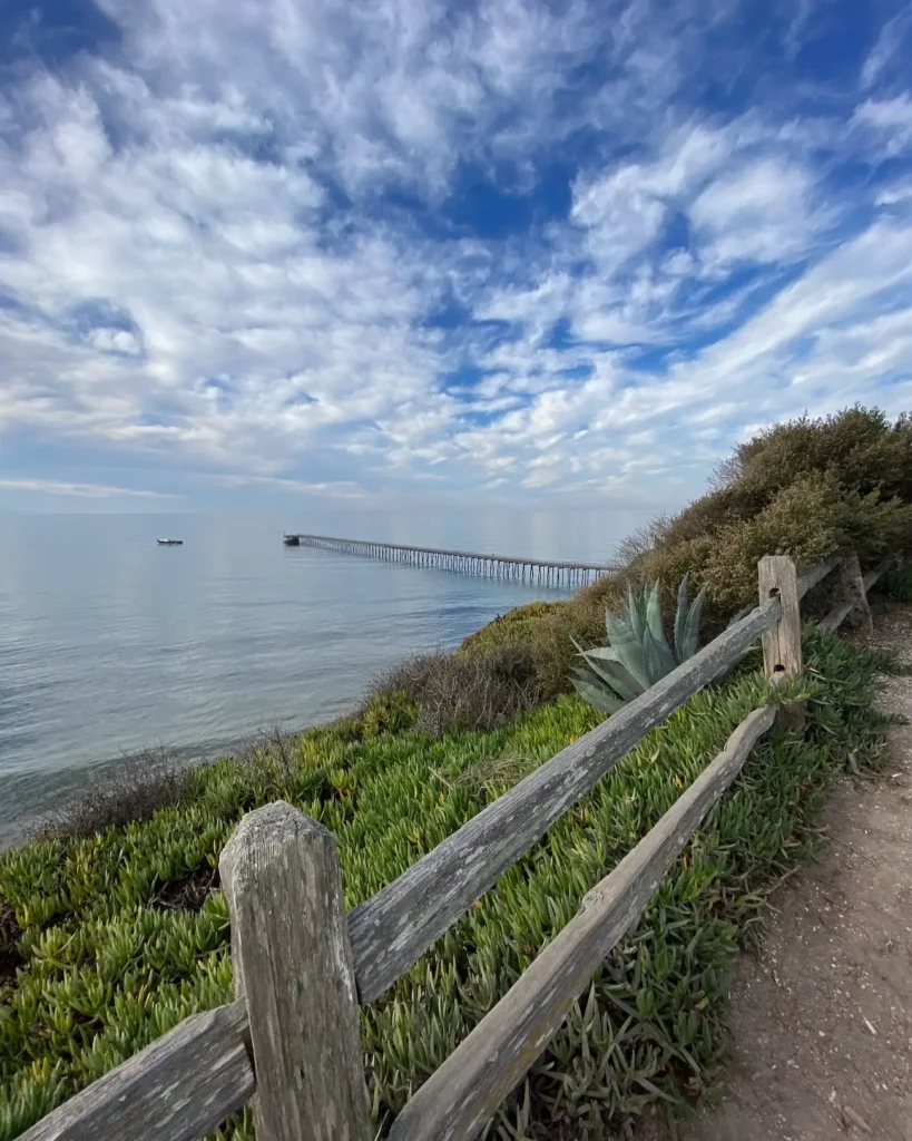 Bluff trail leading toward Ellwood Pier near Haskell's Beach
