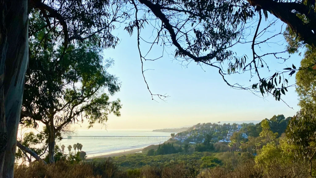 Coastal trail overlooking Haskell's Beach and the Pacific Ocean near The Ritz-Carlton Bacara