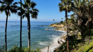 Laguna Beach coastline from Heisler Park with palm trees and ocean cliffs