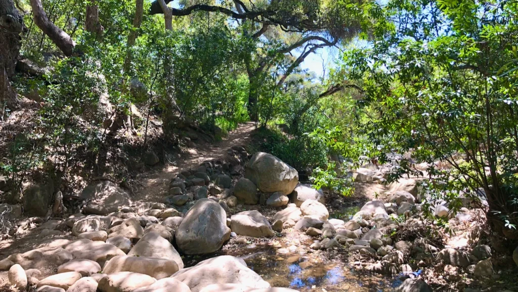 Rocky creek and oak trees along a trail at Santa Barbara Botanic Garden in Santa Barbara, California.